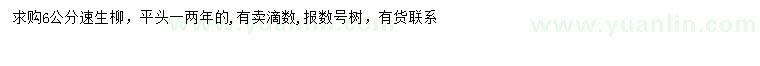 求購6公分速生柳