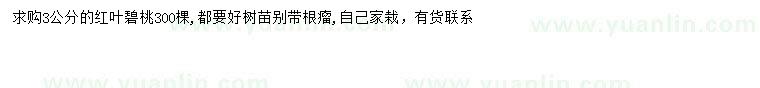 求購3公分紅葉碧桃