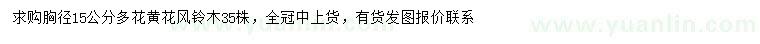 求購胸徑15公分多花黃花風(fēng)鈴木