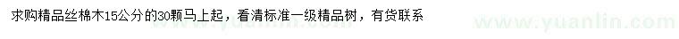 求購15公分絲棉木