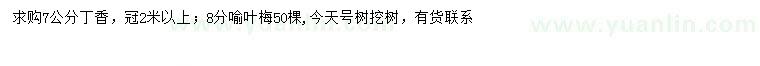求購(gòu)7公分丁香、8公分喻葉梅
