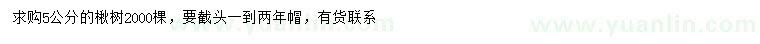 求購5公分楸樹