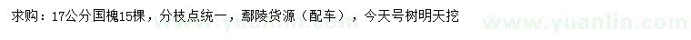 求購17公分國槐