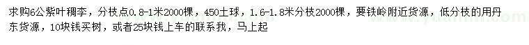 求購6公紫葉稠李