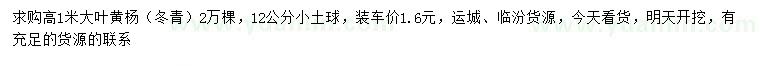 求購(gòu)高1米大葉黃楊、冬青