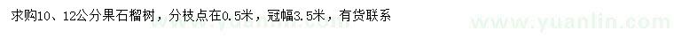求購(gòu)10、12公分果石榴樹(shù)