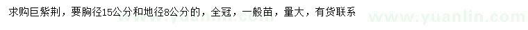 求購(gòu)8、15公分巨紫荊