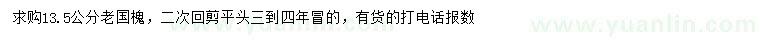 求購13.5公分老國槐
