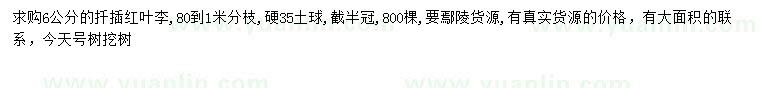 求購6公分紅葉李