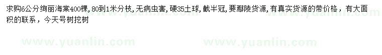 求購6公分絢麗海棠