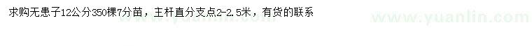 求購12公分無患子