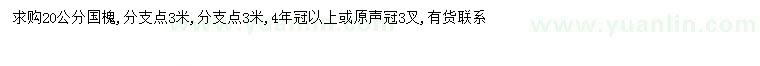 求購(gòu)20公分國(guó)槐