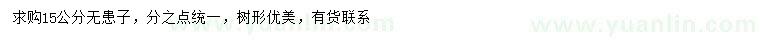 求購15公分無患子