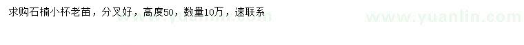 求購高50公分石楠