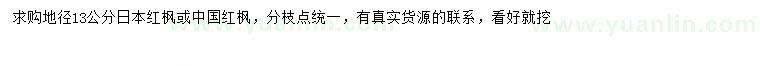 求購地徑13公分日本紅楓、中國紅楓