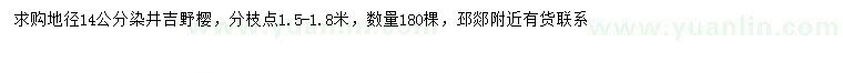 求購地徑14公分染井吉野櫻