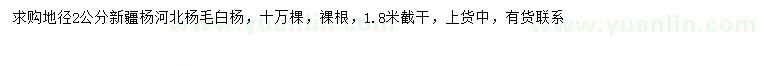 求購新疆楊、河北楊、毛白楊