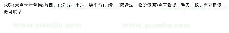 求購高1米大葉黃楊