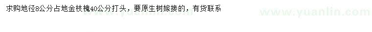 求購(gòu)地徑8公分金枝槐
