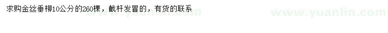 求購10公分金絲垂柳
