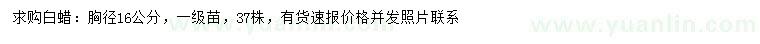求購(gòu)胸徑16公分白蠟