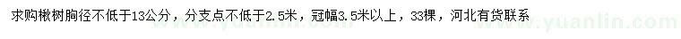 求購胸徑13公分以上楸樹