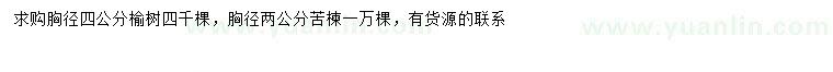 求購胸徑4公分榆樹、胸徑2公分苦楝