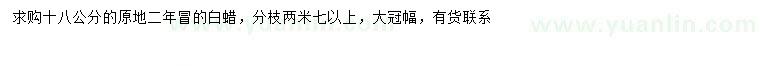 求購18公分白蠟
