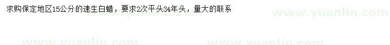 求購15公分速生白蠟