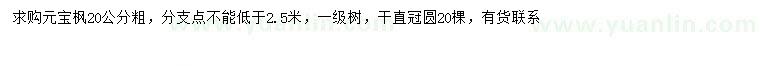 求購(gòu)20公分元寶楓