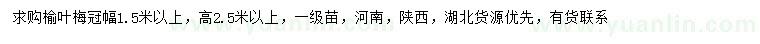 求購冠幅1.5米以上榆葉梅