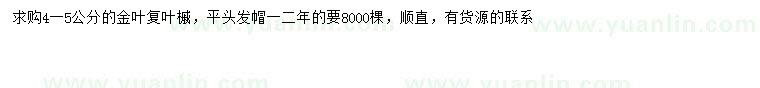 求購(gòu)4-5公分金葉復(fù)葉槭