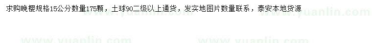 求購15公分晚櫻