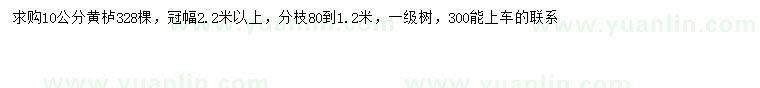 求購10公分黃櫨