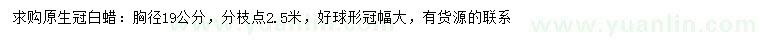 求購胸徑19公分白蠟