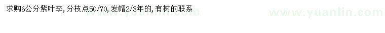 求購(gòu)6公分紫葉李