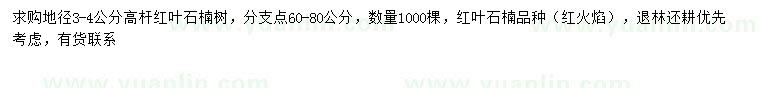 求購地徑3-4公分高桿紅葉石楠