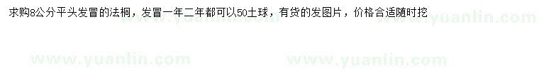求購8公分法桐