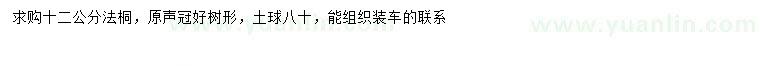 求購12公分法桐