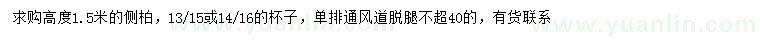 求購高1.5米側(cè)柏