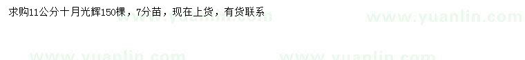 求購11公分十月光輝