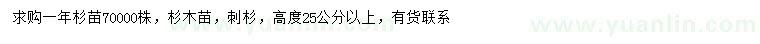 求購高25公分以上杉木、刺杉