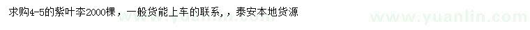 求購4-5公分紫葉李