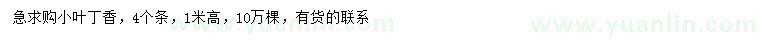 求購高1米小葉丁香