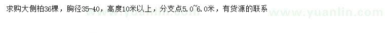 求購胸徑35-40公分側(cè)柏