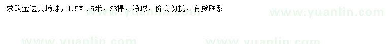 求購1.5米金邊黃場(chǎng)球