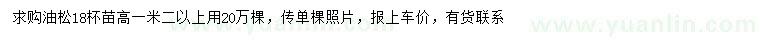 求購高1.2米以上油松