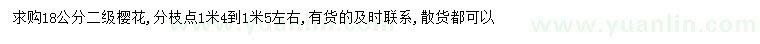 求購18公分櫻花