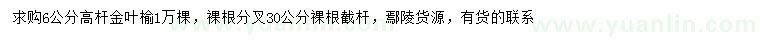 求購6公分高桿金葉榆