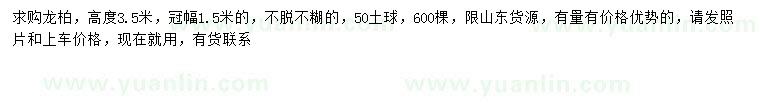 求購高3.5米龍柏
